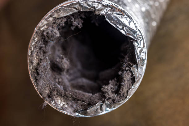 Professional Airduct Cleaning in Wallace, ID